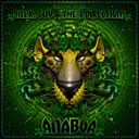 Anaboa by Billx, Guy & the 4 Directions - Frenchcore cover art