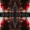Ruzice rumena by Billx, Galvanoize - Frenchcore cover art