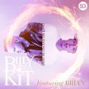 Can't Believe You're Gone - Acoustic Version by Billy The Kit, Brian - Hardstyle cover art