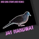 Cover of Bird Song - Frontliner Remix