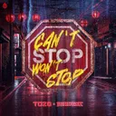 CAN'T STOP WON'T STOP by Bloodlust, TOZA - Rawstyle cover art
