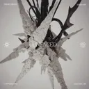 Cover of Bloom