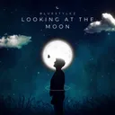 Looking At The Moon by Bluestylez - Hardstyle cover art