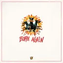 Cover of Born Again