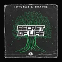 Secret of Life by Bravez, Futuraz - Hardstyle cover art
