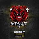 Cover of Break It