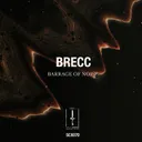 Survival Of Hell by Brecc - Hard Techno cover art