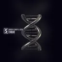 Evolve by Broken Element, LXCPR - Hardstyle cover art