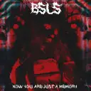 Now You're Just A Memory by BSLS - Hard Techno cover art