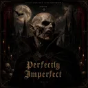 PERFECTLY IMPERFECT *LIVE ONE TAKE RECORDING* by BSLS - Hard Techno cover art