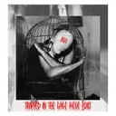 TRAPPED IN THE CAGE WE'VE BUILT by BSLS - Hard Techno cover art