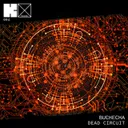 Double Compass - Original Mix by Buchecha - Hard Techno cover art