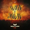 Cover of Burn It Down