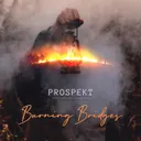 Cover of Burning Bridges