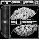 Cover of Burst