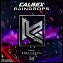 Raindrops - Extended by Calbex - Hardstyle cover art