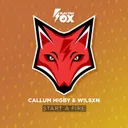 Start A Fire by Callum Higby, WILSXN - Happy Hardcore cover art