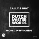 World in My Hands - DMW Edit by Cally, Riot - Hardstyle cover art