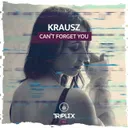 Cover of Can't Forget You