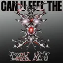Cover of CAN U FEEL THE DARKNESS