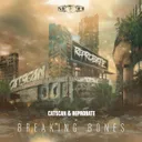 Breaking Bones - Radio Edit by Catscan, Reprobate - Hardcore cover art