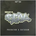 Down With The Real - Radio Edit by Catscan, Predator - Hardcore cover art