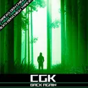 Back Again by CGK - Hardstyle cover art