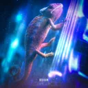 Cover of Chameleon