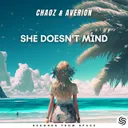 She Doesn't Mind - Hardstyle Version by Chaoz, Averion, Seconds From Space - Hardstyle cover art