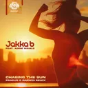 Cover of Chasing The Sun - Fracus & Darwin Remix