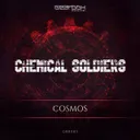 Cosmos - Radio Edit by Chemical Soldiers - Rawstyle cover art