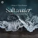 Saltwater (Audiotricz & Ecstatic Remix) by Chicane, Moya Brennan, Audiotricz, Ecstatic - Hardstyle cover art