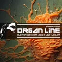 Organ Line by Clayton Cash, Doug Van Zant, Jeff Jackz - Hardstyle cover art