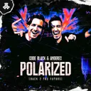 Polarized (Back 2 The Future) by Code Black, Anderex - Hardstyle cover art
