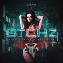 BTCHZ by Code Crime, DSTORTD - Hardstyle cover art