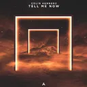 Tell Me Now by Colin Hennerz - Hardstyle cover art