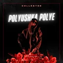 Polyushka Polye by Collester - Hardstyle cover art