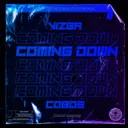 Cover of Coming Down