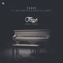 Faye (Acoustic Version) by Coone, Hardstyle Pianist, David Spekter - Hardstyle cover art