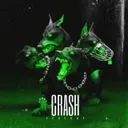 Cover of Crash