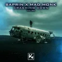 Cover of Crashing Down