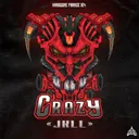 Cover of Crazy
