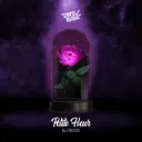 Petite Fleur by Creeds - Hardcore cover art