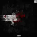 Desolation - Radio Edit by Crossfiyah - Hardcore cover art