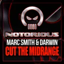 Cover of Cut The Midrange - Original Mix
