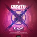 Evolutionz - Ran-D Remix by D-Block & S-te-Fan, Villain - Hardstyle cover art