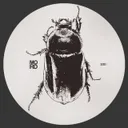 Irritating Collapse - Original Mix by D. Carbone - Hard Techno cover art