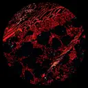 Smokbone 1 by D. Carbone, Datasmok - Hard Techno cover art