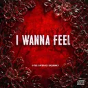 I WANNA FEEL by D-Frek, Bassrunner, MYDRIAAZ - Frenchcore cover art