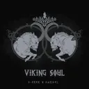Viking Soul - Hard Version by D-Frek, Daridel - Frenchcore cover art